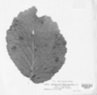 Image Associated With the Occurence